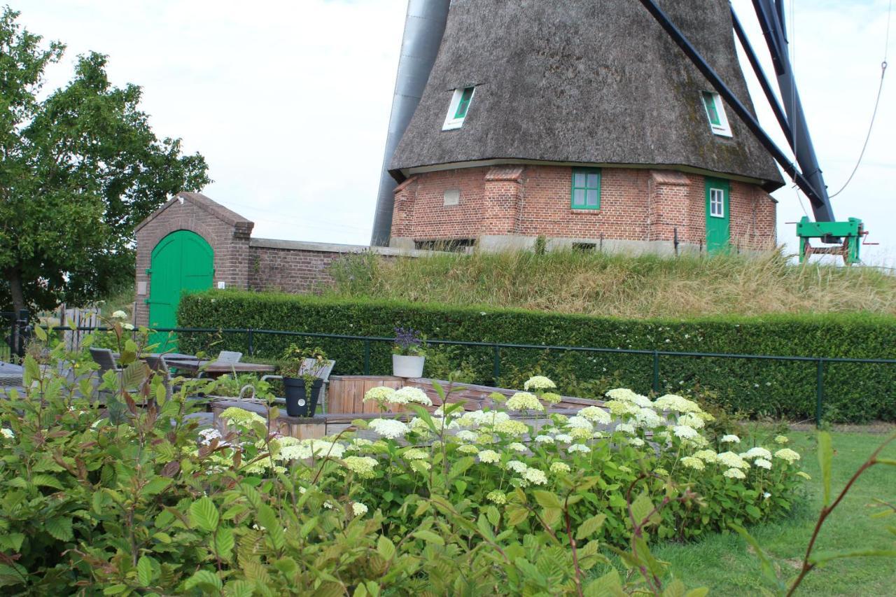 Bij Molen De Blazekop, Rustig En Landelijk Ovezande Eksteriør bilde