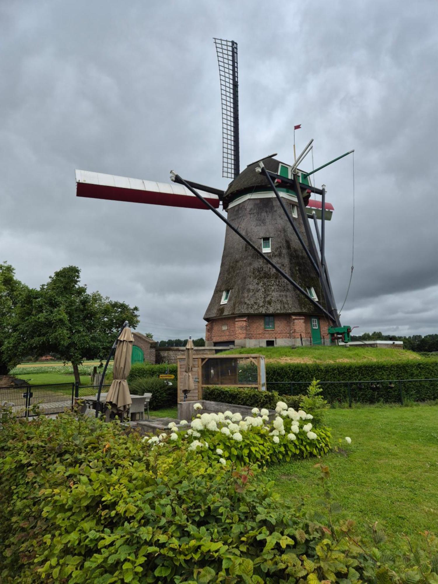 Bij Molen De Blazekop, Rustig En Landelijk Ovezande Eksteriør bilde